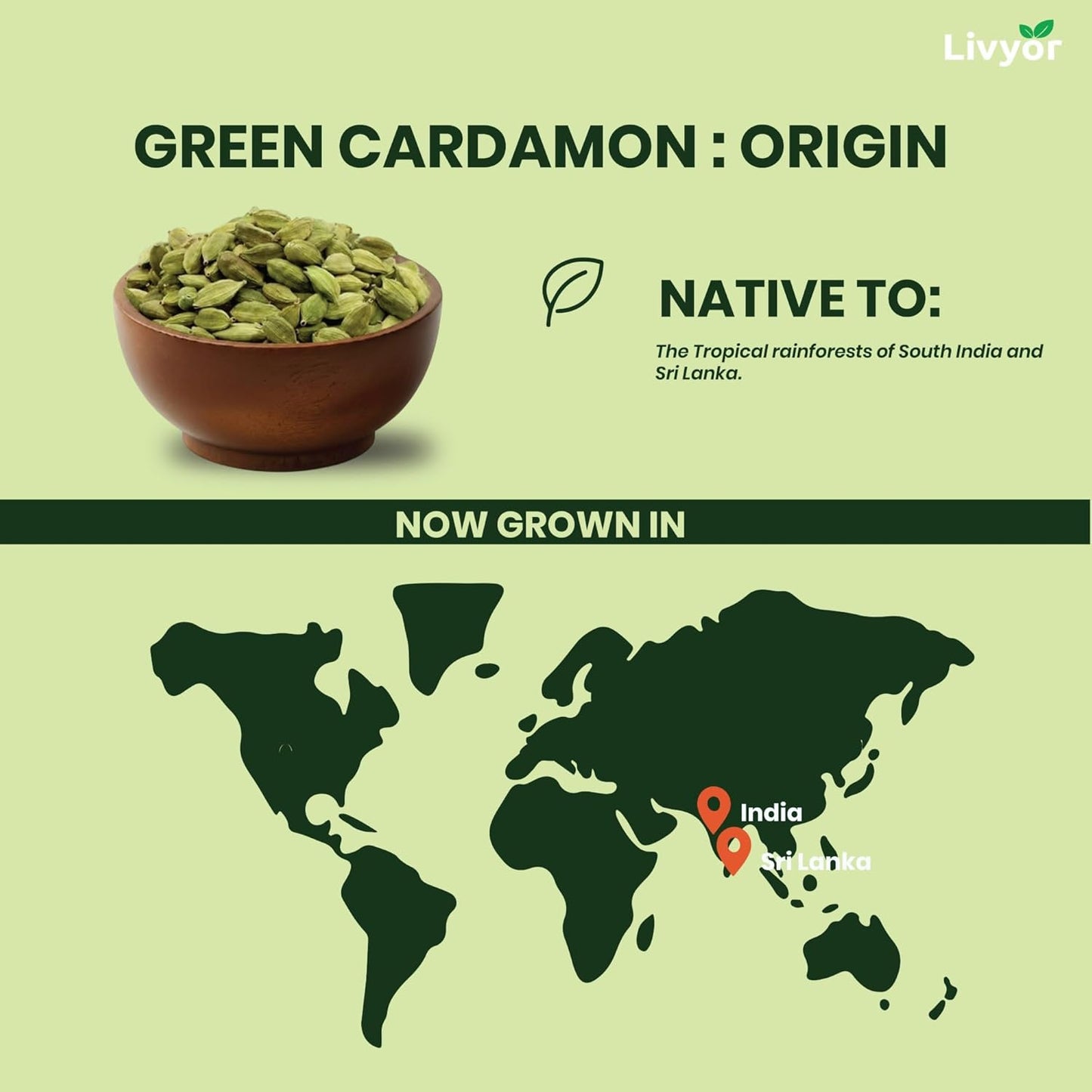 fresh aromatic green cardamom