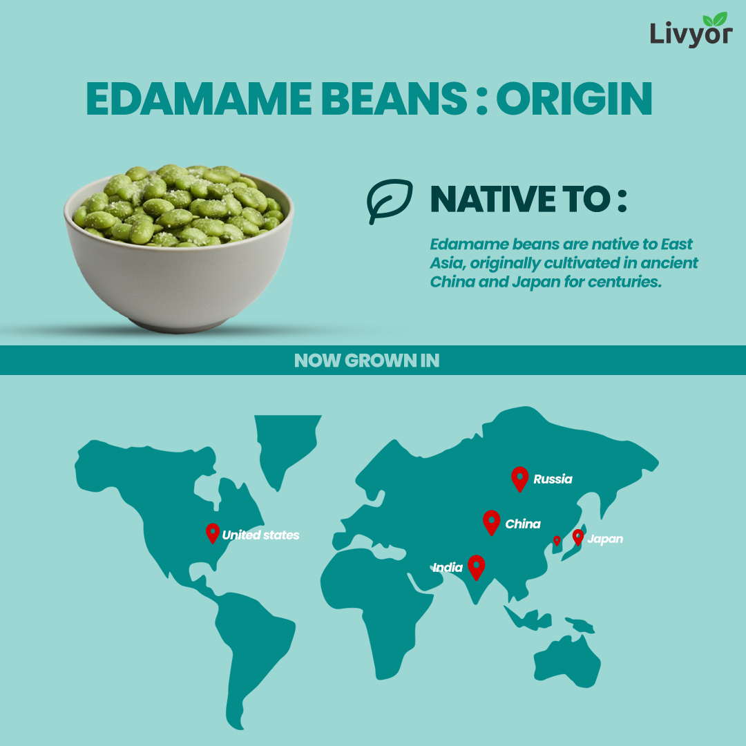 Roasted Edamame Beans