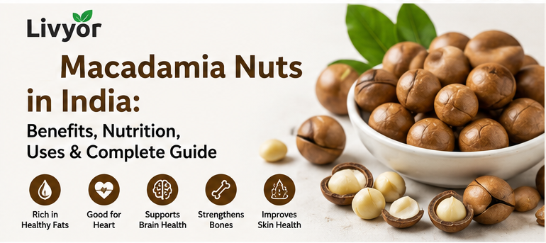 Macadamia Nuts in India