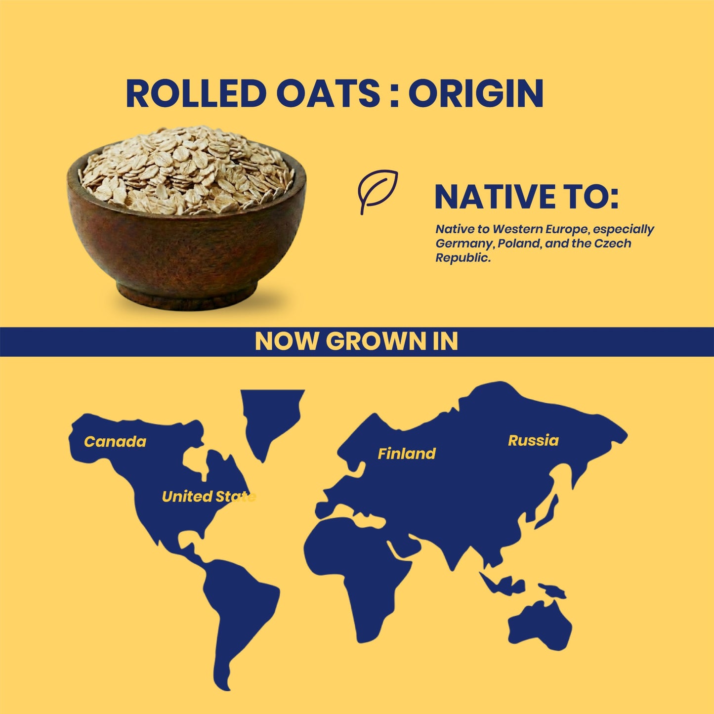 Livyor Rolled Oats