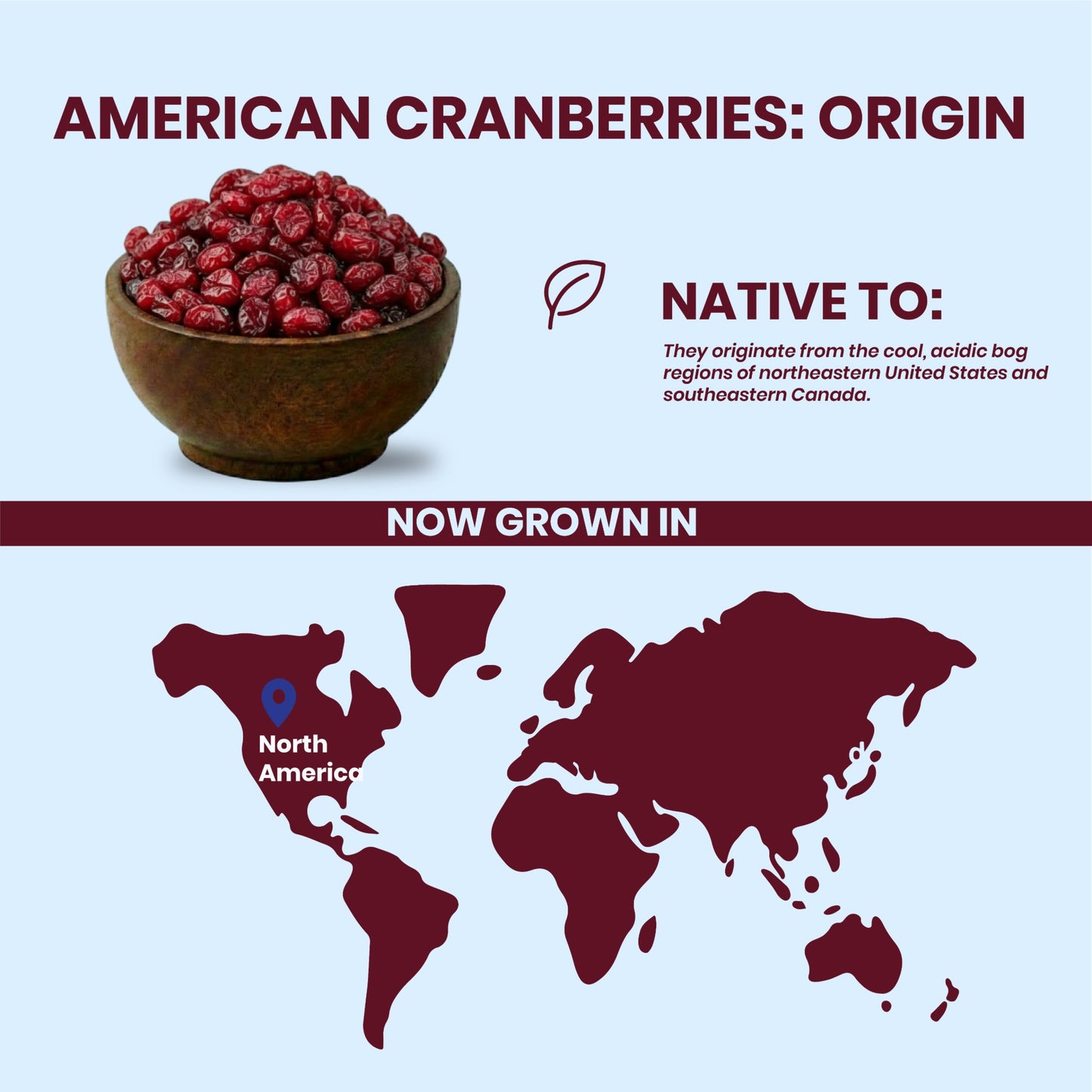 Livyor Sliced & Dried Cranberries