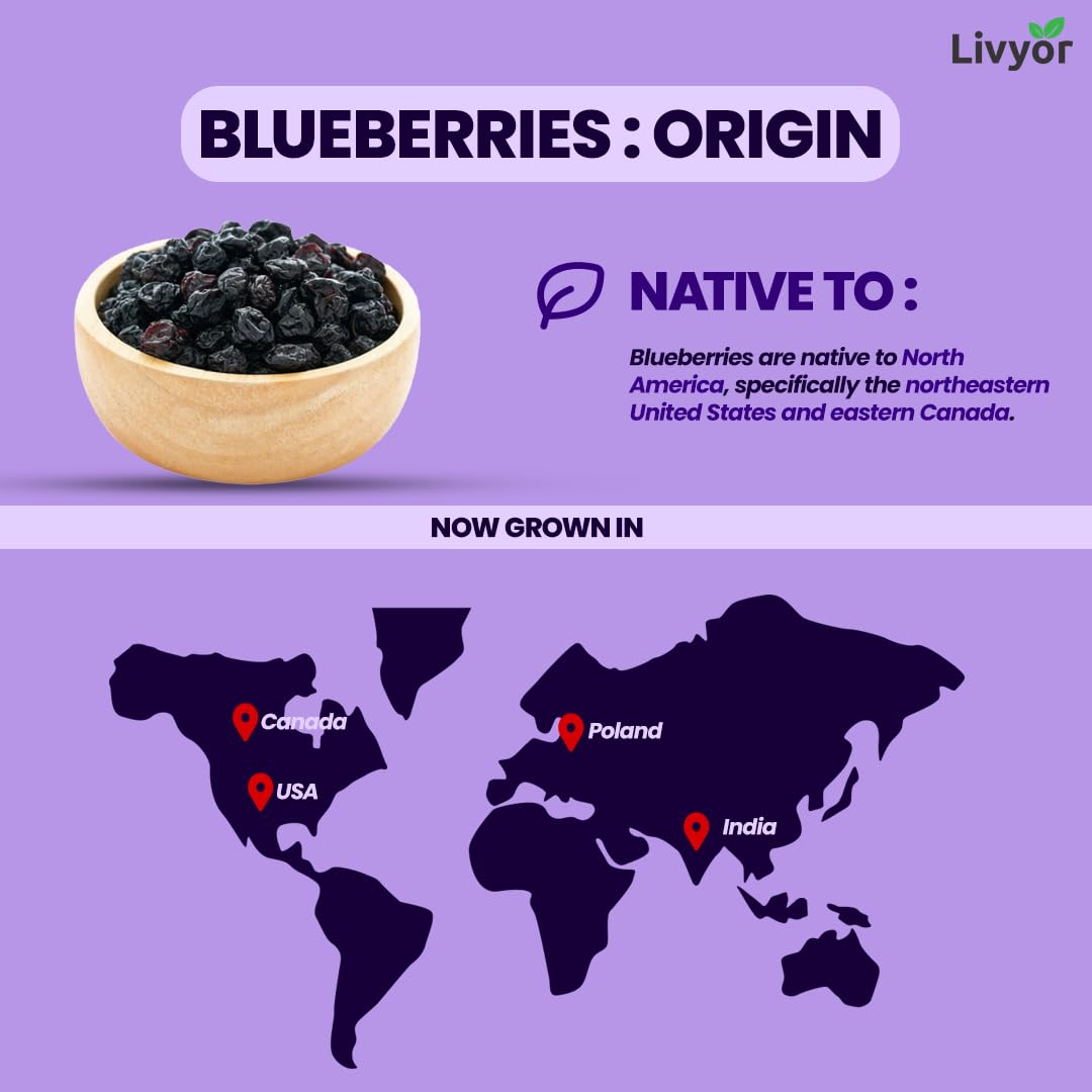 Livyor Premium Dried Blueberries