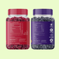 Dried Blueberries & Sliced Cranberries Combo - 200g Each