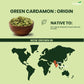 fresh aromatic green cardamom
