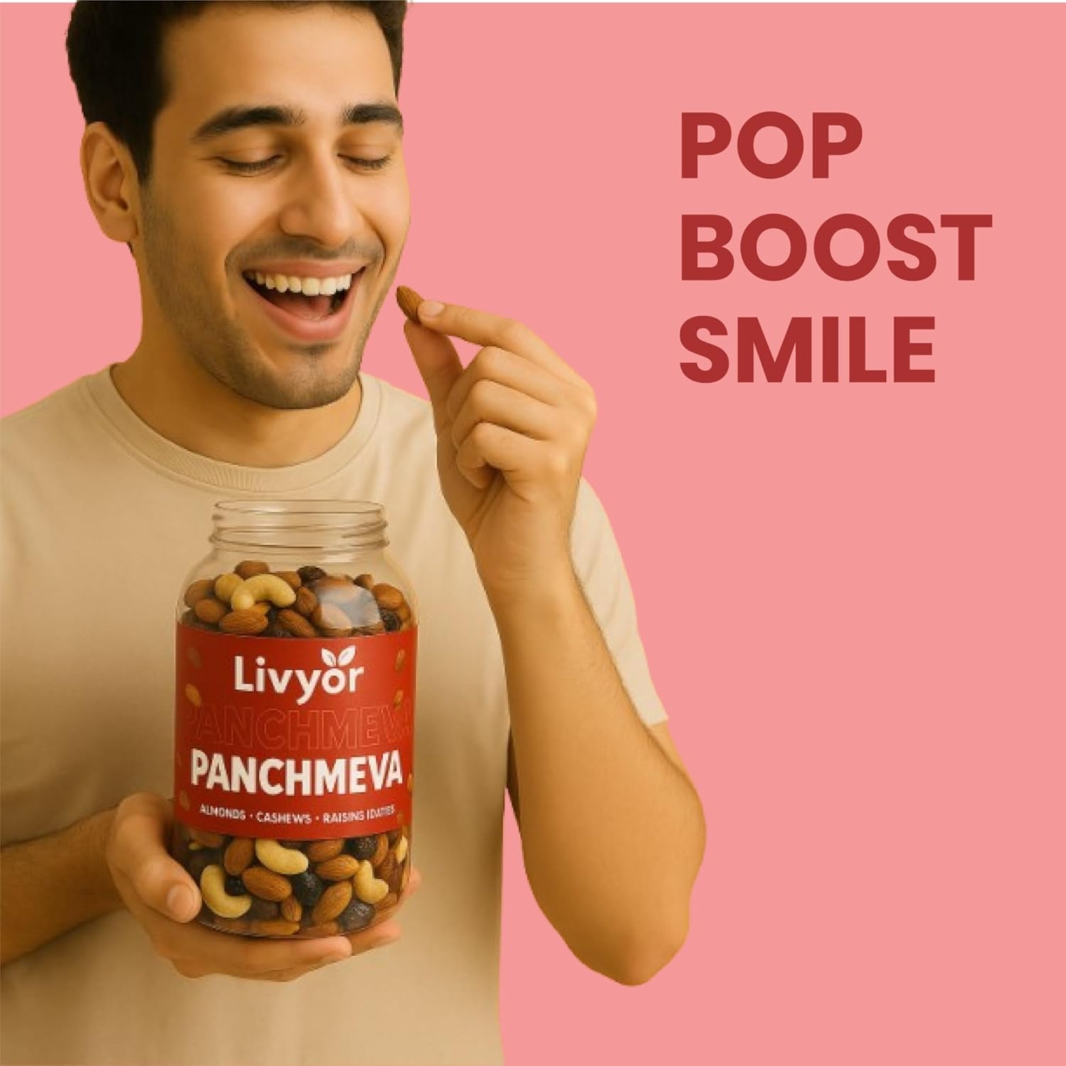 Premium dry fruits blend