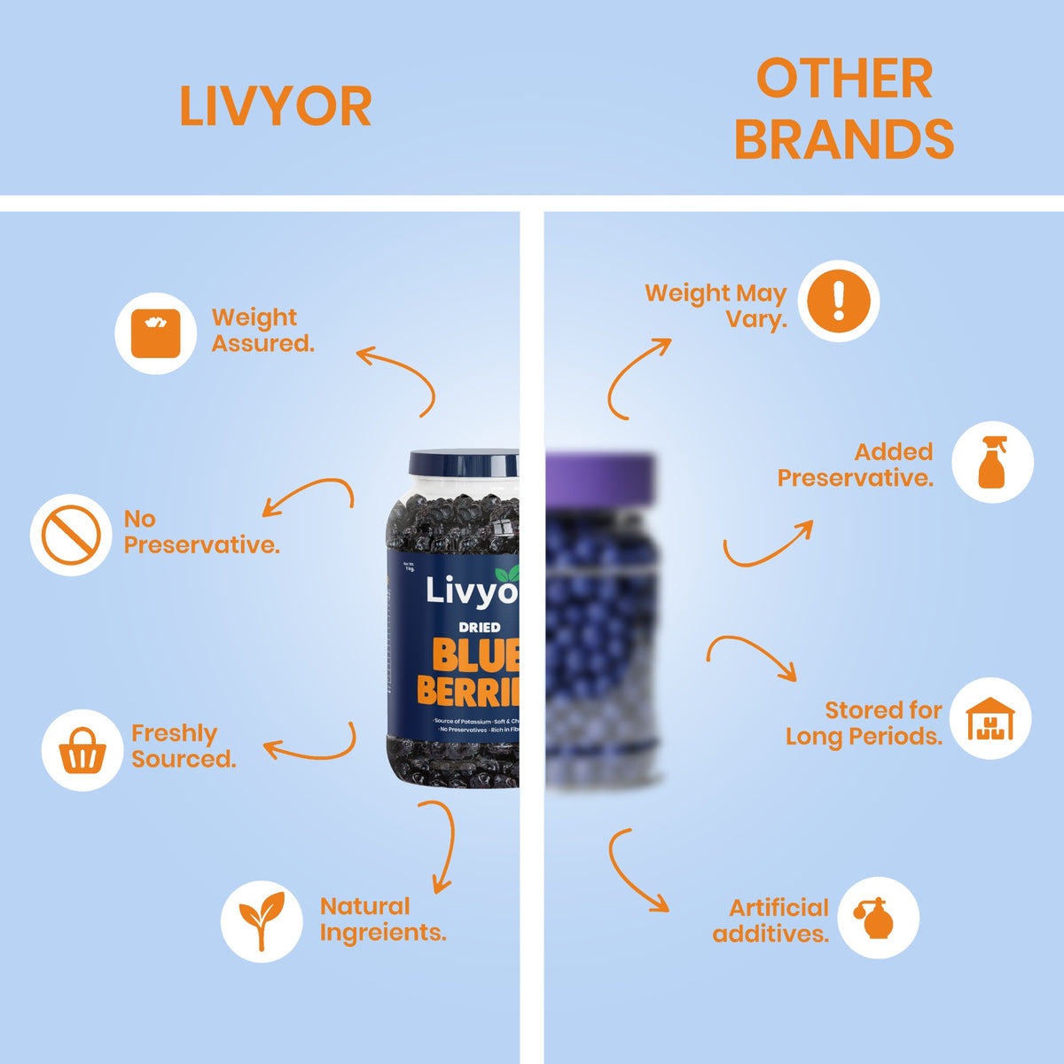 Livyor Premium Dried Blueberries