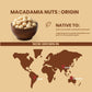 Macadamia Nuts