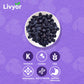 Dried Blueberries