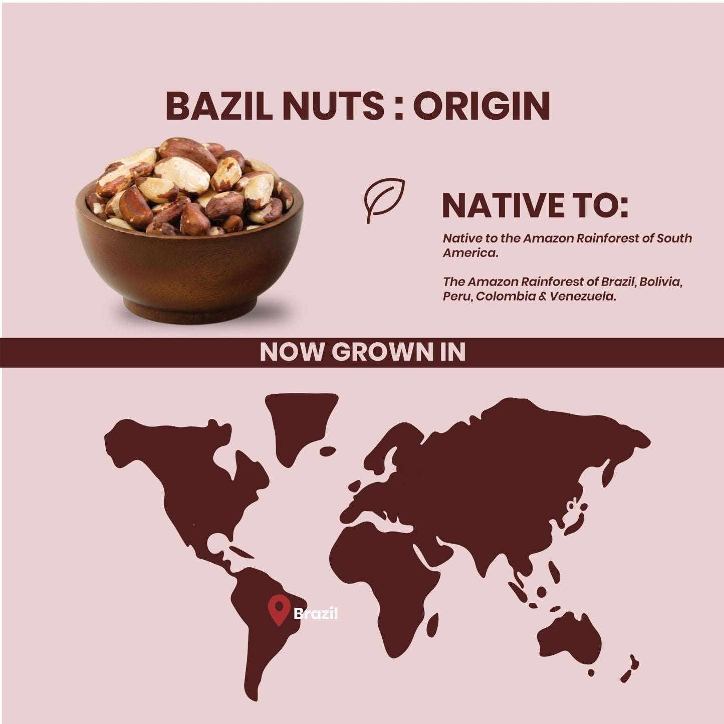 Livyor Premium Brazil Nuts