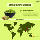 Livyor Premium Dried Kiwi
