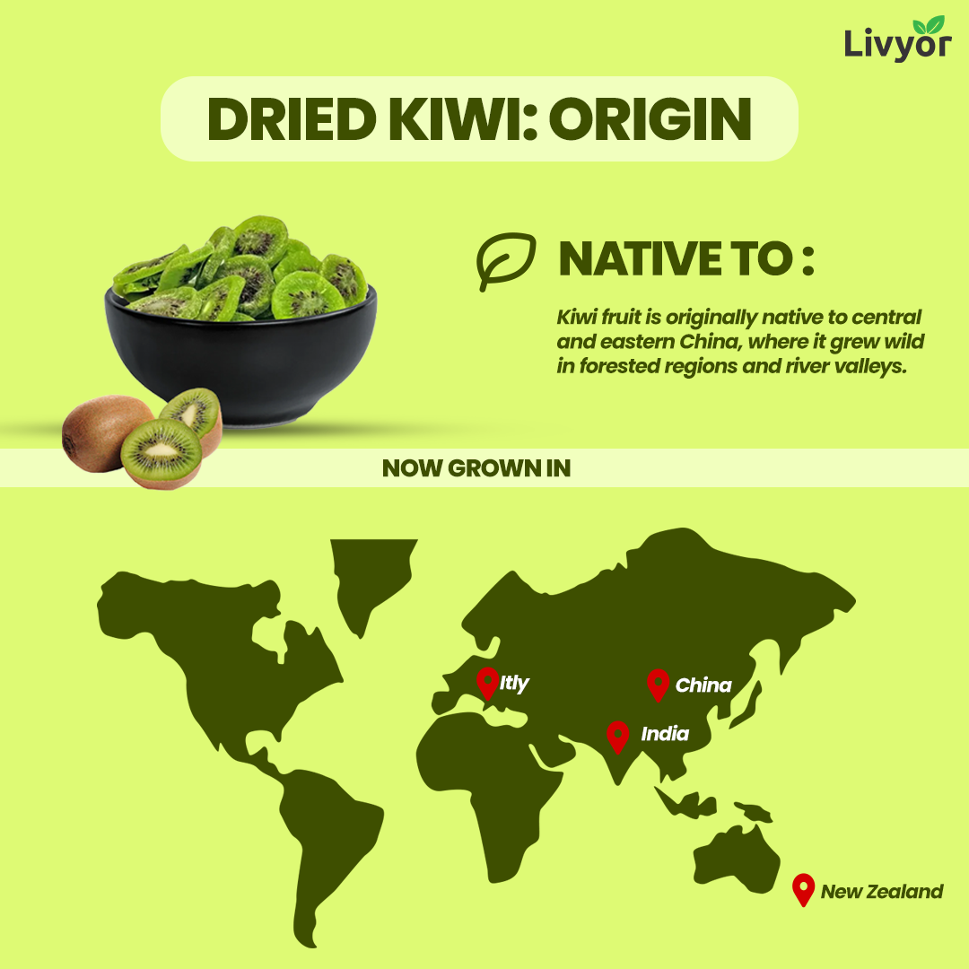 Livyor Premium Dried Kiwi