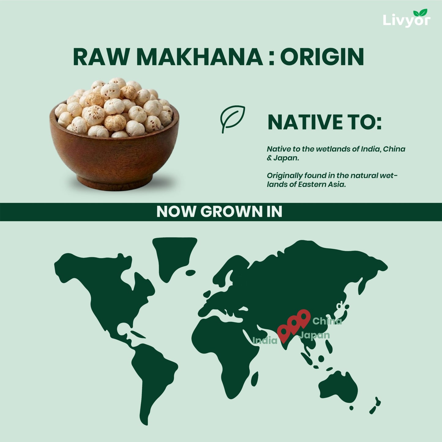 Makhana